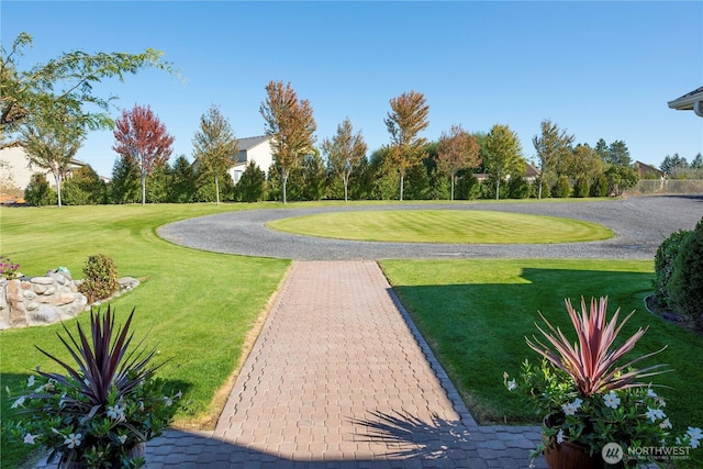 view of property's community with a yard