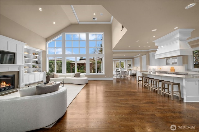living area with a glass covered fireplace, high vaulted ceiling, dark wood finished floors, and a healthy amount of sunlight