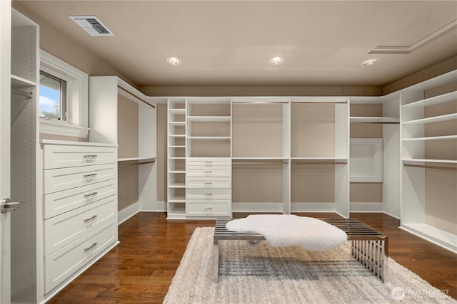 spacious closet with visible vents and dark wood-type flooring
