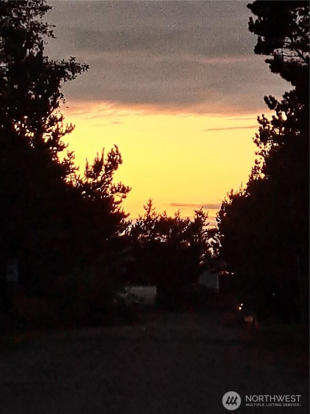 view of nature at dusk