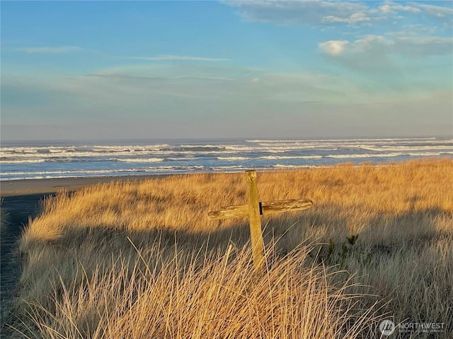 property view of water featuring a view of the beach