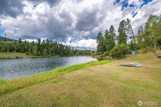 water view featuring a view of trees