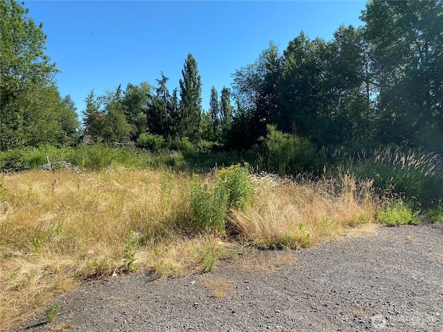 90099015 Fawcett Ave, Tacoma WA, 98444 land for sale