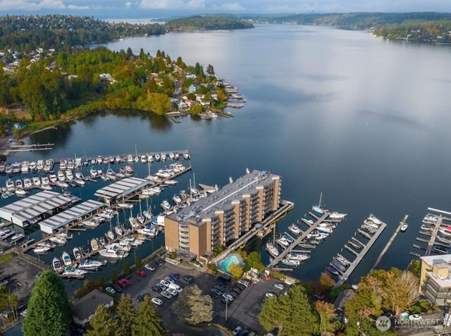 aerial view with a water view