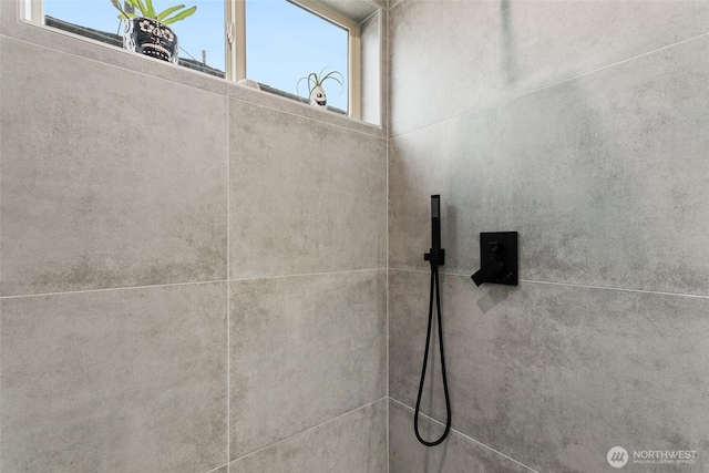 room details with tiled shower