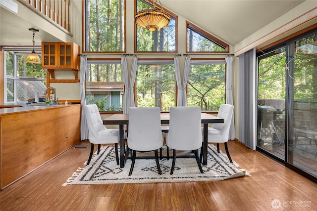 dining room featuring high vaulted ceiling and wood finished floors