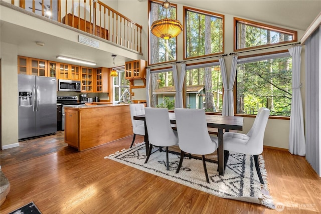 dining room featuring dark wood-type flooring, baseboards, and a high ceiling