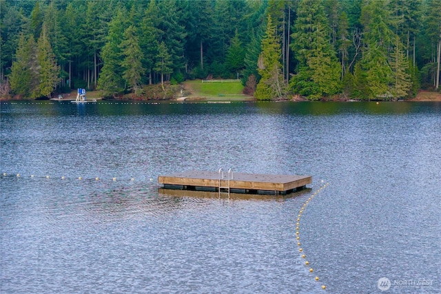 view of dock with a water view and a view of trees