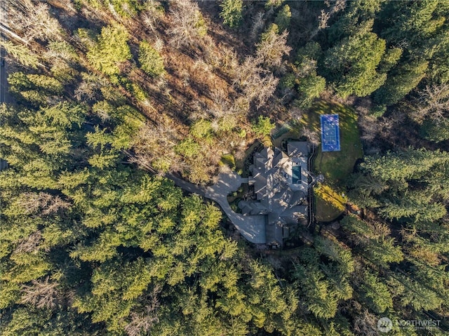 birds eye view of property with a forest view