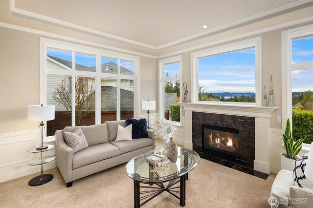 living room featuring a premium fireplace, carpet flooring, ornamental molding, and wainscoting