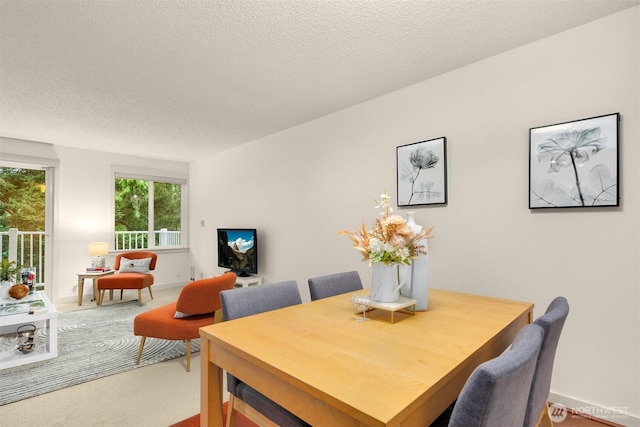 carpeted dining room featuring a textured ceiling and baseboards