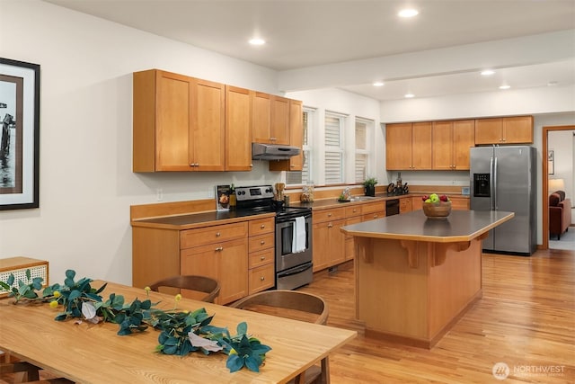 kitchen featuring under cabinet range hood, a kitchen island, a sink, appliances with stainless steel finishes, and light wood-type flooring