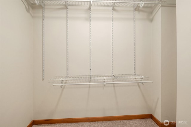 spacious closet with carpet flooring