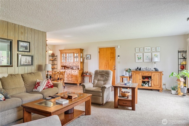 carpeted living area with a textured ceiling