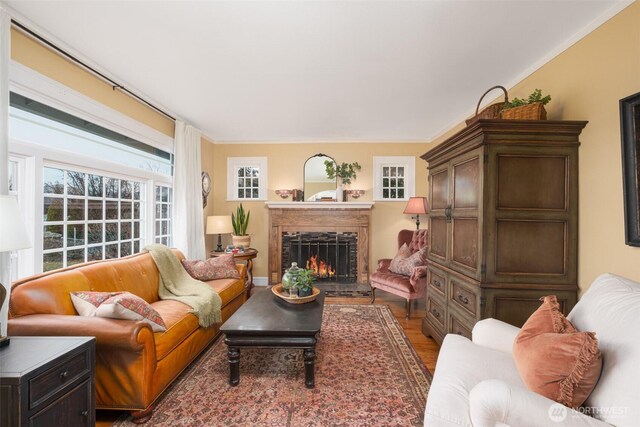 living area featuring crown molding, wood finished floors, and a warm lit fireplace