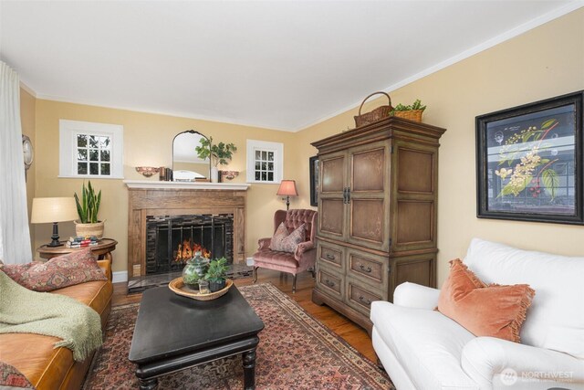 living room featuring a lit fireplace, wood finished floors, and ornamental molding