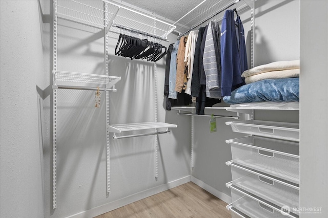 spacious closet featuring wood finished floors