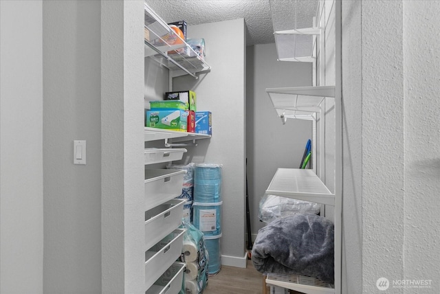 spacious closet with wood finished floors