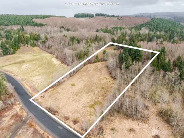 125 NW Hill Creek Rd, Toledo WA, 98591 land for sale