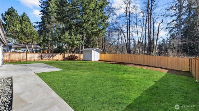 view of yard with a fenced backyard, a shed, a patio, and an outdoor structure