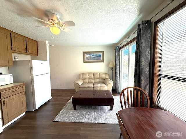 living area featuring dark wood-type flooring, a textured ceiling, baseboards, and a ceiling fan