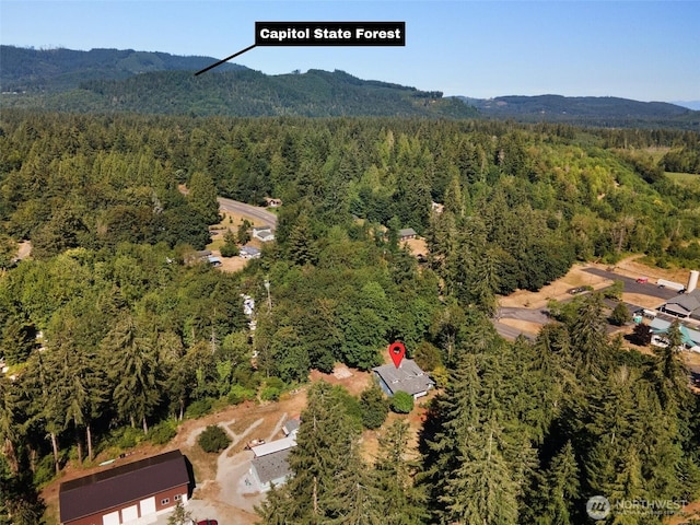 bird's eye view with a view of trees and a mountain view