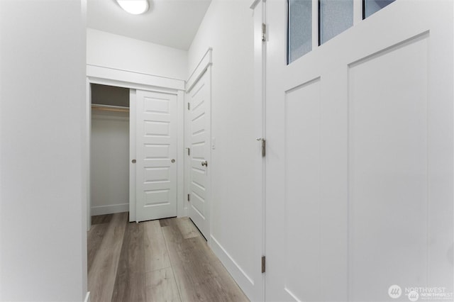 walk in closet featuring wood finished floors