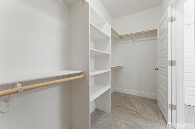 spacious closet with carpet