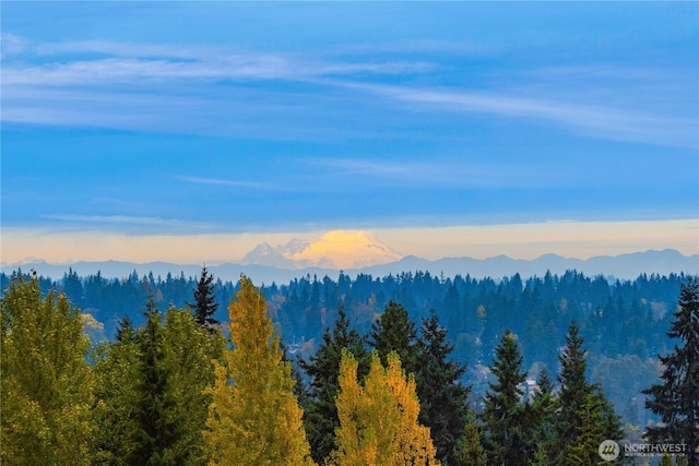 property view of mountains with a wooded view