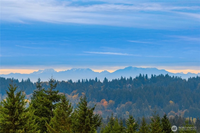 view of mountain feature with a view of trees