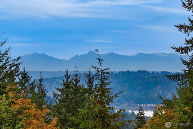 property view of mountains featuring a water view and a forest view