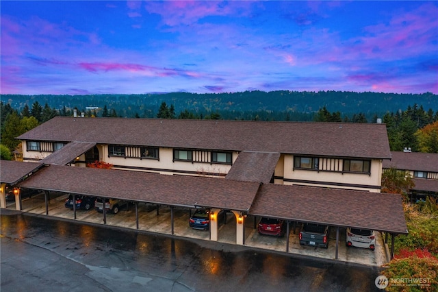 view of front of home featuring roof with shingles, a view of trees, and stucco siding