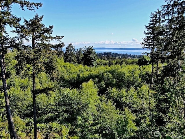 Listing photo 3 for 0LOT7 Thompson Rd, Langley WA 98260