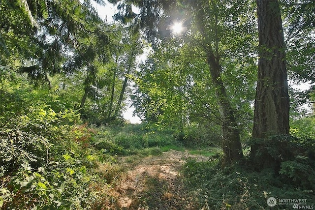 0LOT7 Thompson Rd, Langley, WA 98260