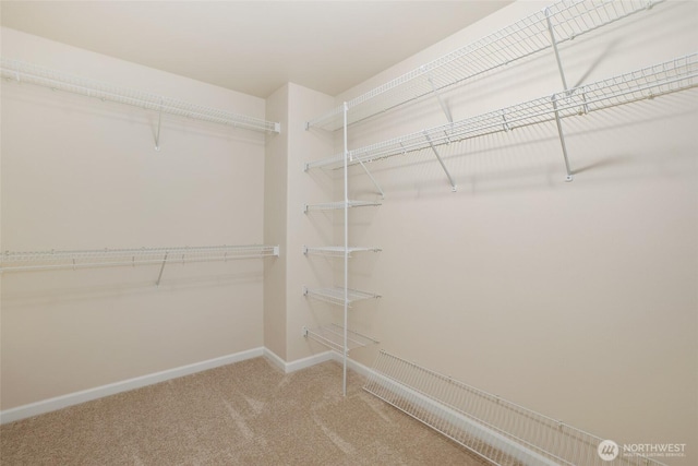 spacious closet with carpet