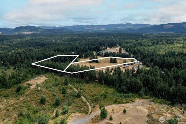 16228 Bald Hills Rd SE, Yelm WA, 98597 land for sale