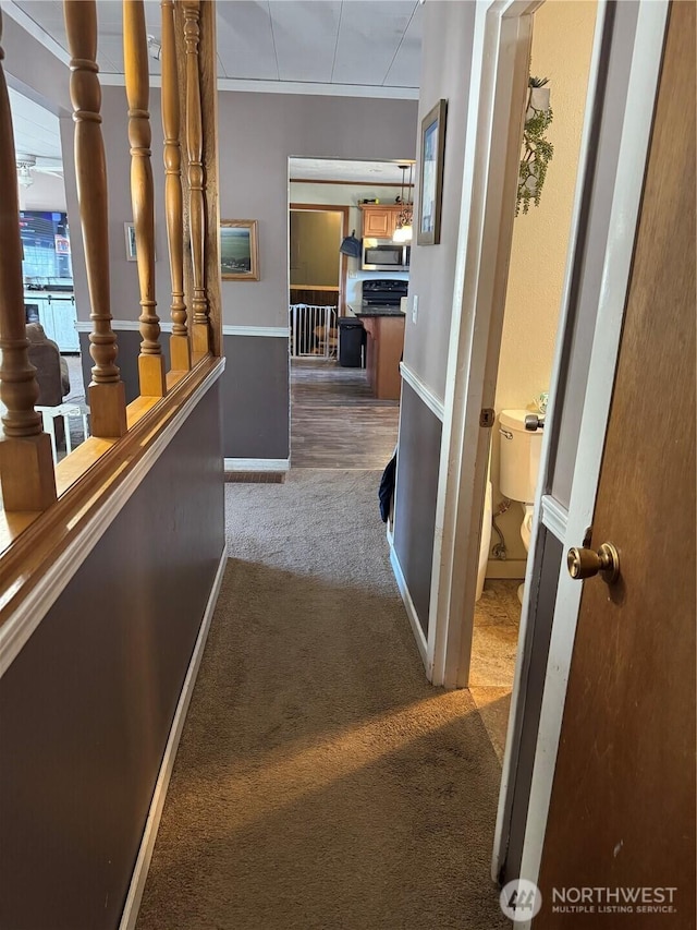 hallway featuring carpet flooring