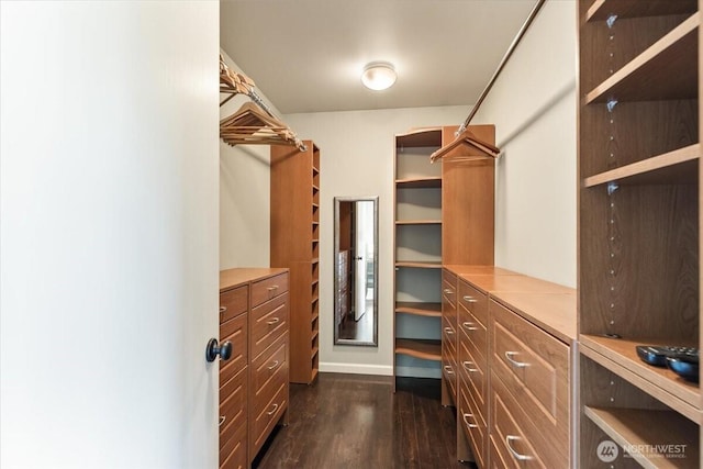 spacious closet with dark wood finished floors