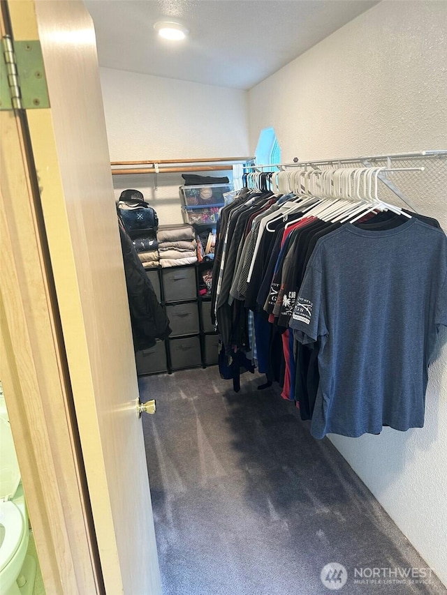 spacious closet with dark colored carpet