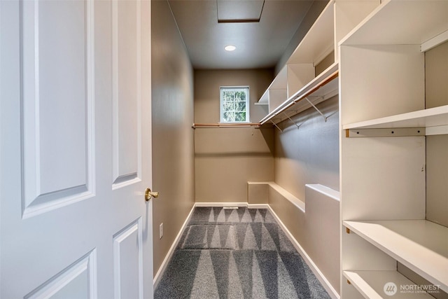 spacious closet with carpet