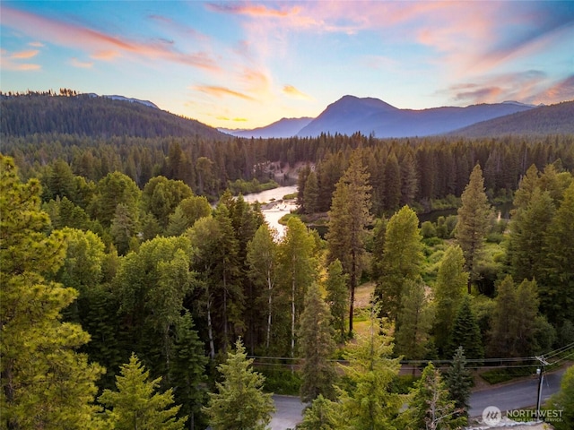 mountain view with a view of trees