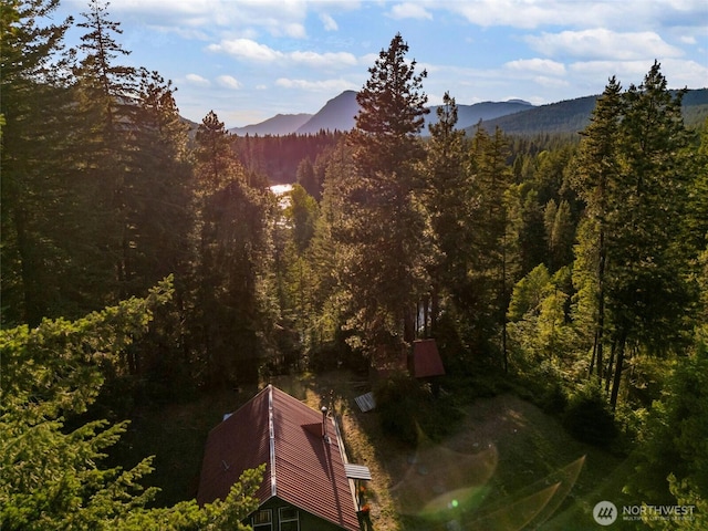 view of mountain feature with a wooded view