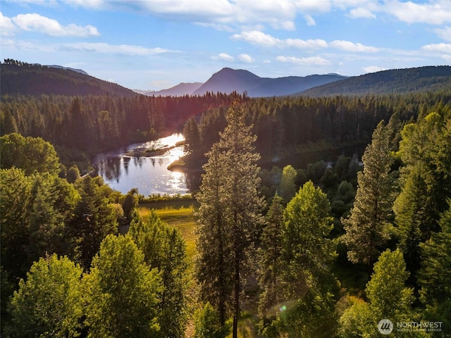 property view of mountains featuring a water view and a forest view