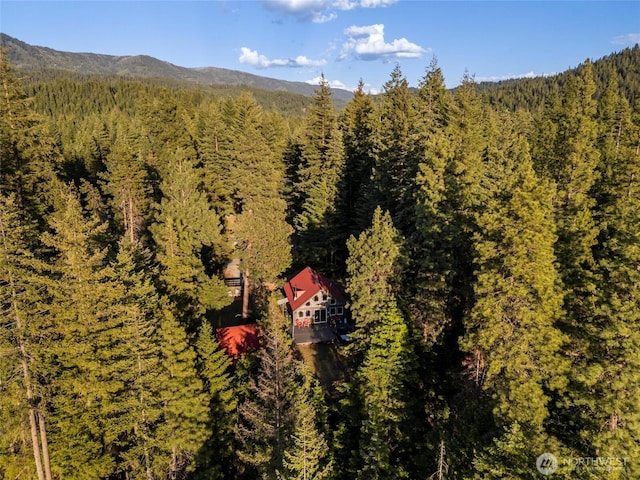 aerial view with a forest view and a mountain view