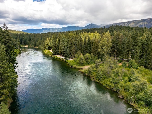 aerial view featuring a water and mountain view and a view of trees