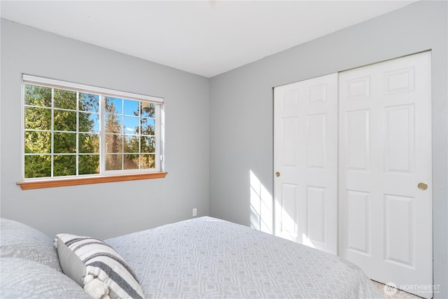 bedroom with a closet