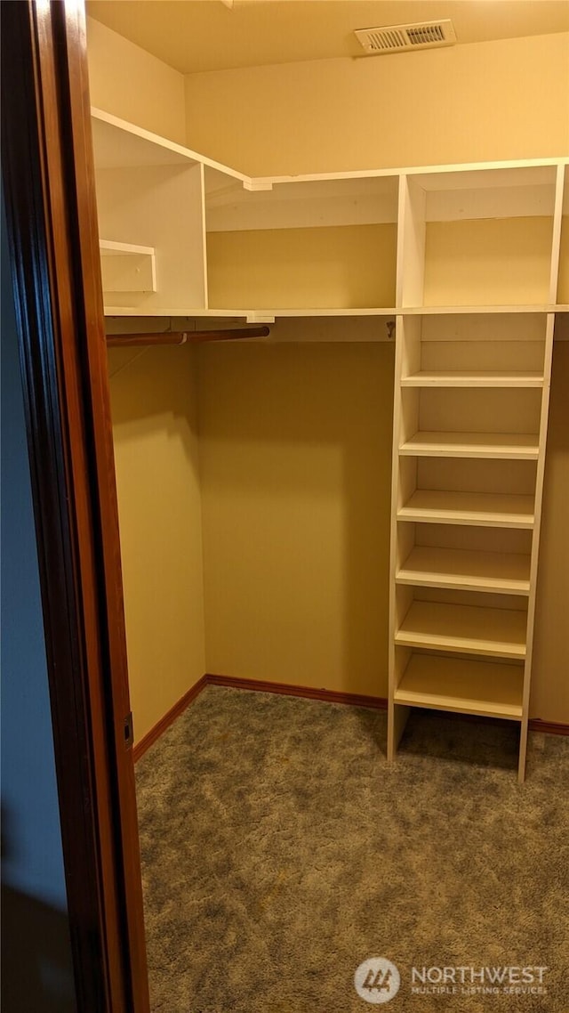 176 Fager Hill Rd, Port Townsend, WA 98368 - spacious closet featuring carpet