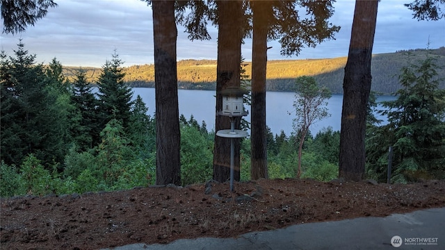 176 Fager Hill Rd, Port Townsend, WA 98368 - water view featuring a forest