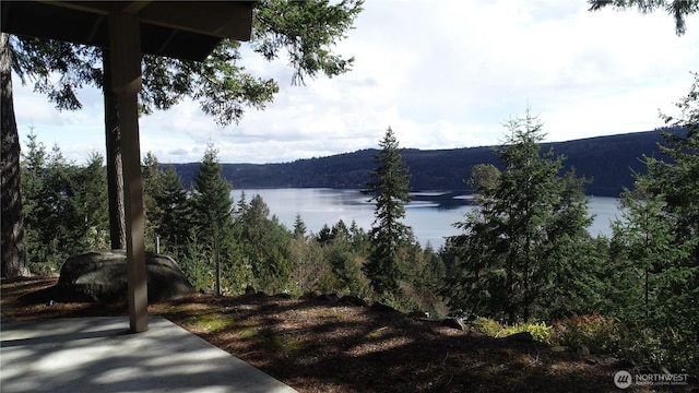 176 Fager Hill Rd, Port Townsend, WA 98368 - water view with a heavily wooded area