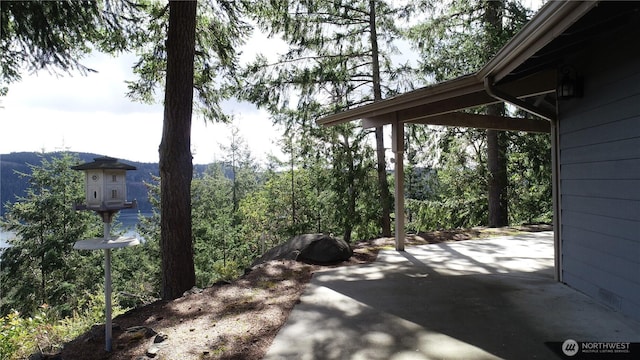 176 Fager Hill Rd, Port Townsend, WA 98368 - view of patio